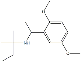 [1-(2,5-dimethoxyphenyl)ethyl](2-methylbutan-2-yl)amine Struktur