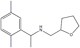 [1-(2,5-dimethylphenyl)ethyl](oxolan-2-ylmethyl)amine Struktur