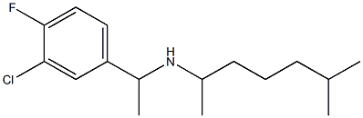 [1-(3-chloro-4-fluorophenyl)ethyl](6-methylheptan-2-yl)amine Struktur