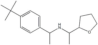 [1-(4-tert-butylphenyl)ethyl][1-(oxolan-2-yl)ethyl]amine Struktur