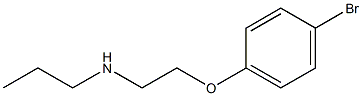 [2-(4-bromophenoxy)ethyl](propyl)amine Struktur