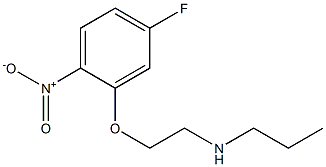 [2-(5-fluoro-2-nitrophenoxy)ethyl](propyl)amine Struktur