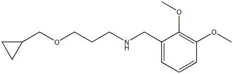 [3-(cyclopropylmethoxy)propyl][(2,3-dimethoxyphenyl)methyl]amine Struktur