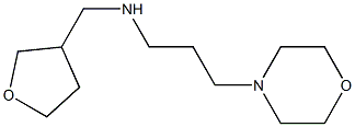 [3-(morpholin-4-yl)propyl](oxolan-3-ylmethyl)amine Struktur