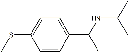 {1-[4-(methylsulfanyl)phenyl]ethyl}(propan-2-yl)amine Struktur