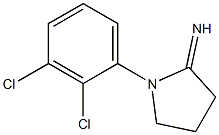 1-(2,3-dichlorophenyl)pyrrolidin-2-imine Struktur