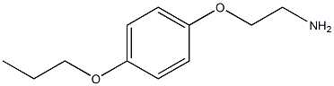  化學(xué)構(gòu)造式