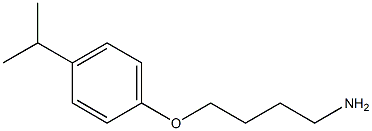 1-(4-aminobutoxy)-4-(propan-2-yl)benzene Struktur