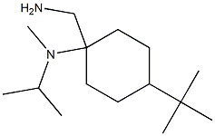 1-(aminomethyl)-4-tert-butyl-N-methyl-N-(propan-2-yl)cyclohexan-1-amine Struktur