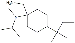 1-(aminomethyl)-N-methyl-4-(2-methylbutan-2-yl)-N-(propan-2-yl)cyclohexan-1-amine Struktur