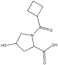 1-(cyclobutylcarbonyl)-4-hydroxypyrrolidine-2-carboxylic acid Struktur