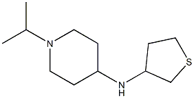 1-(propan-2-yl)-N-(thiolan-3-yl)piperidin-4-amine Struktur