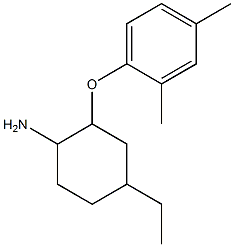 2-(2,4-dimethylphenoxy)-4-ethylcyclohexan-1-amine Struktur