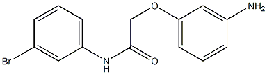 2-(3-aminophenoxy)-N-(3-bromophenyl)acetamide Struktur