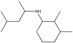 2,3-dimethyl-N-(4-methylpentan-2-yl)cyclohexan-1-amine Struktur