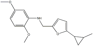 2,5-dimethoxy-N-{[5-(2-methylcyclopropyl)furan-2-yl]methyl}aniline Struktur