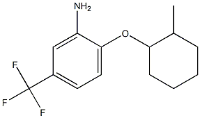 2-[(2-methylcyclohexyl)oxy]-5-(trifluoromethyl)aniline Struktur