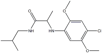 2-[(4-chloro-2,5-dimethoxyphenyl)amino]-N-(2-methylpropyl)propanamide Struktur