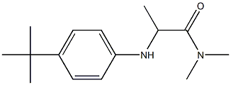 2-[(4-tert-butylphenyl)amino]-N,N-dimethylpropanamide Struktur