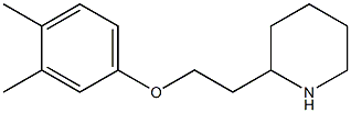 2-[2-(3,4-dimethylphenoxy)ethyl]piperidine Struktur