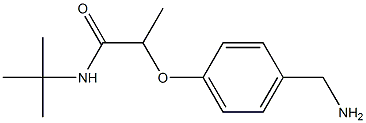 2-[4-(aminomethyl)phenoxy]-N-tert-butylpropanamide Struktur