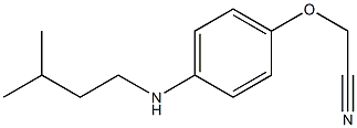 2-{4-[(3-methylbutyl)amino]phenoxy}acetonitrile Struktur