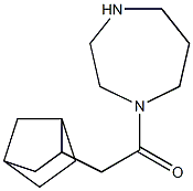 2-{bicyclo[2.2.1]heptan-2-yl}-1-(1,4-diazepan-1-yl)ethan-1-one Struktur