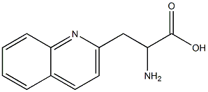 2-amino-3-(quinolin-2-yl)propanoic acid Struktur