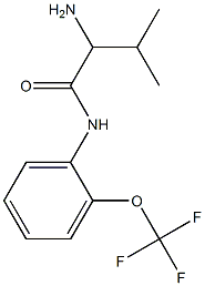 2-amino-3-methyl-N-[2-(trifluoromethoxy)phenyl]butanamide Struktur