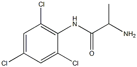 2-amino-N-(2,4,6-trichlorophenyl)propanamide Struktur