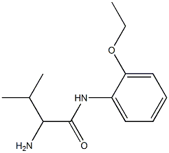 2-amino-N-(2-ethoxyphenyl)-3-methylbutanamide Struktur