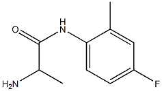 2-amino-N-(4-fluoro-2-methylphenyl)propanamide Struktur