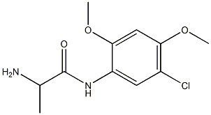 2-amino-N-(5-chloro-2,4-dimethoxyphenyl)propanamide Struktur