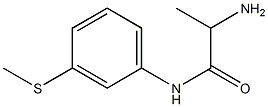 2-amino-N-[3-(methylthio)phenyl]propanamide Struktur