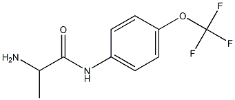 2-amino-N-[4-(trifluoromethoxy)phenyl]propanamide Struktur