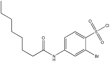 2-bromo-4-octanamidobenzene-1-sulfonyl chloride Struktur