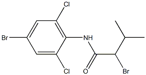 2-bromo-N-(4-bromo-2,6-dichlorophenyl)-3-methylbutanamide Struktur