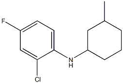 2-chloro-4-fluoro-N-(3-methylcyclohexyl)aniline Struktur