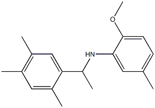 2-methoxy-5-methyl-N-[1-(2,4,5-trimethylphenyl)ethyl]aniline Struktur