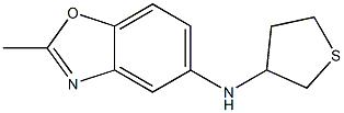 2-methyl-N-(thiolan-3-yl)-1,3-benzoxazol-5-amine Structure