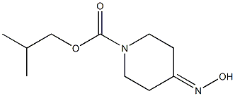 2-methylpropyl 4-(hydroxyimino)piperidine-1-carboxylate Struktur