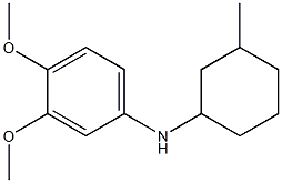 3,4-dimethoxy-N-(3-methylcyclohexyl)aniline Struktur