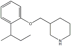 3-[2-(butan-2-yl)phenoxymethyl]piperidine Struktur