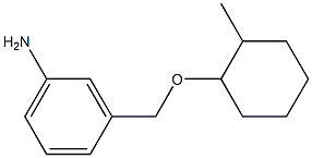 3-{[(2-methylcyclohexyl)oxy]methyl}aniline Struktur