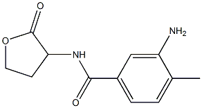 3-amino-4-methyl-N-(2-oxooxolan-3-yl)benzamide Struktur