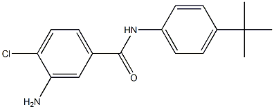 3-amino-N-(4-tert-butylphenyl)-4-chlorobenzamide Struktur