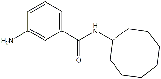 3-amino-N-cyclooctylbenzamide Struktur