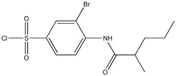 3-bromo-4-(2-methylpentanamido)benzene-1-sulfonyl chloride Struktur