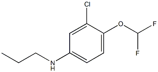 3-chloro-4-(difluoromethoxy)-N-propylaniline Struktur