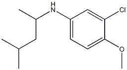 3-chloro-4-methoxy-N-(4-methylpentan-2-yl)aniline Struktur